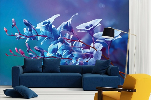 Vlies Fototapete - Blaue Orchideen 375 x 250 cm